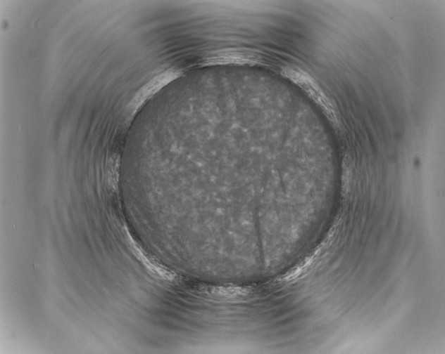 X0000086921233200705071320