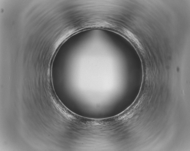 X0000086921234200705071320