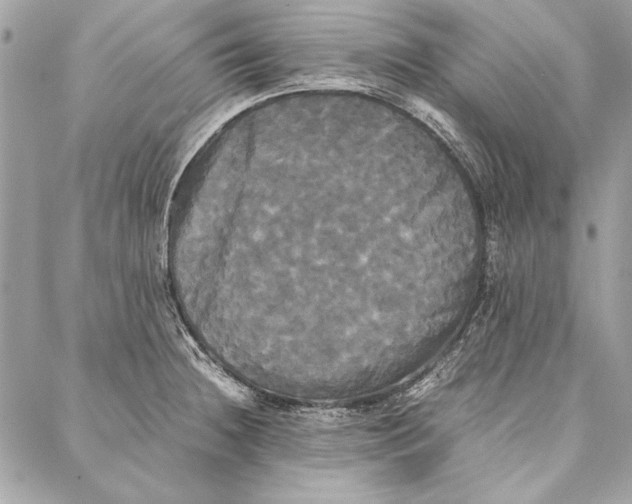 X0000086921236200705071320