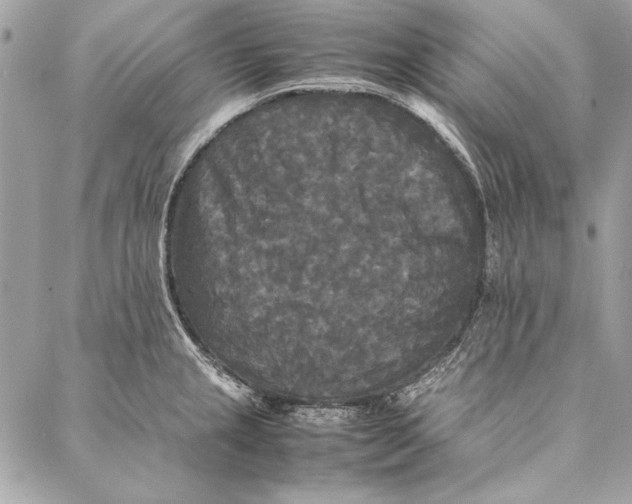 X0000086921237200705071320