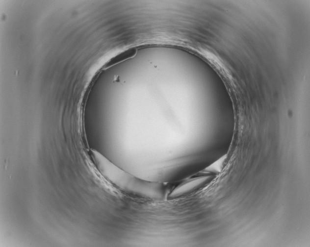 X0000086921238200705071320