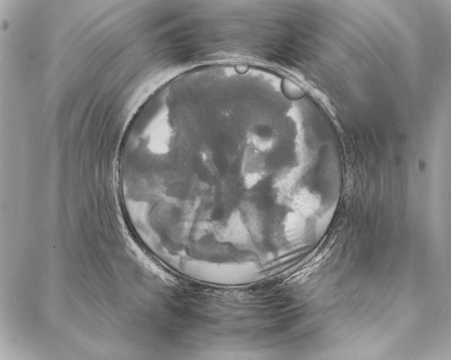 X0000086921239200705071320