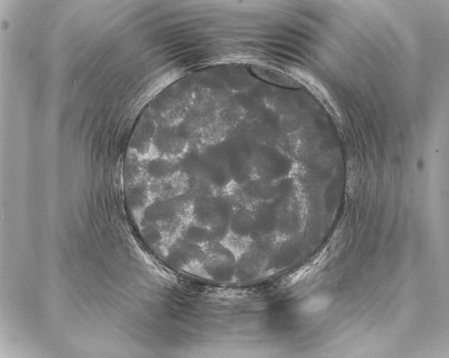 X0000086921241200705071320