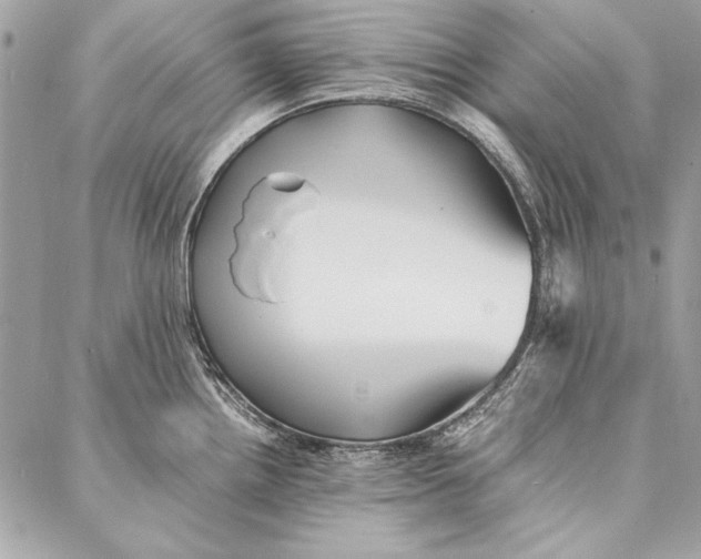 X0000086921242200705071320