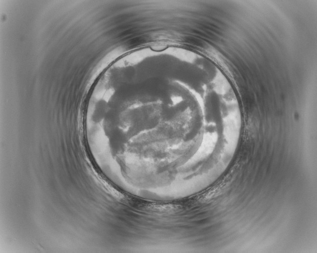 X0000086921243200705071320