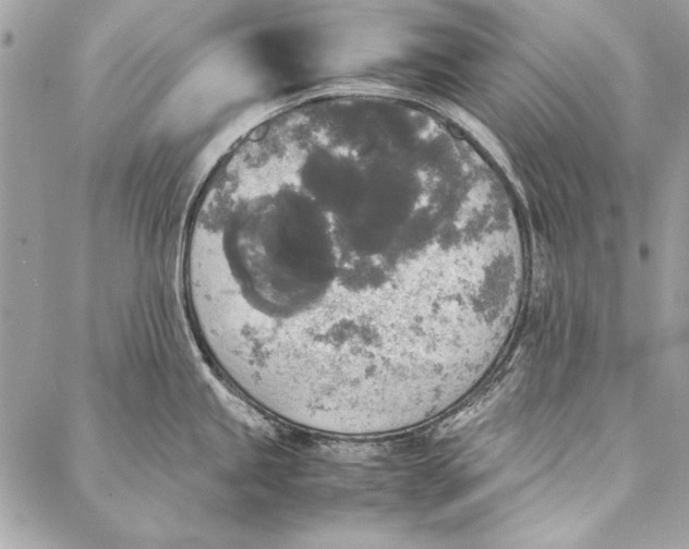 X0000086921245200705071320