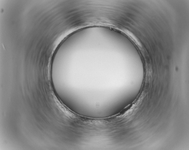 X0000086921246200705071320