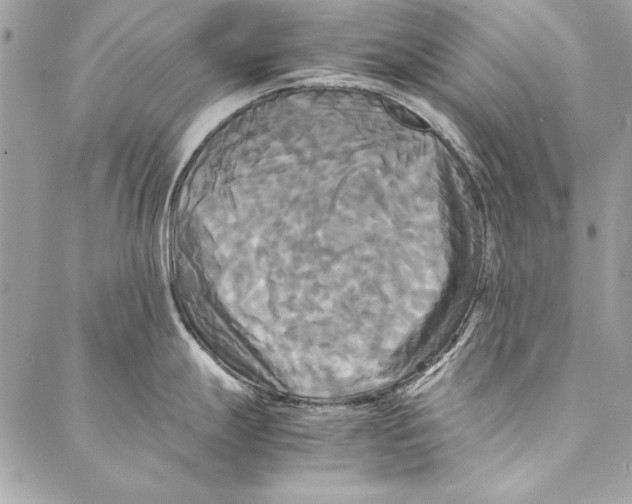 X0000086921247200705071320