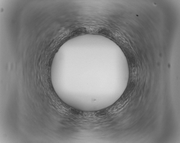 X0000086921249200705071319