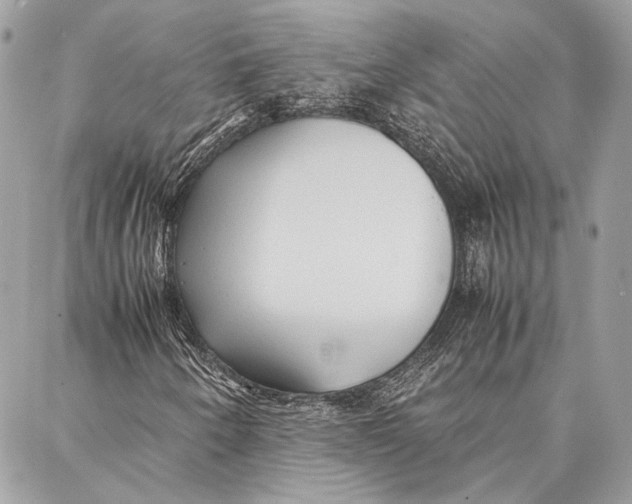 X0000086921250200705071319