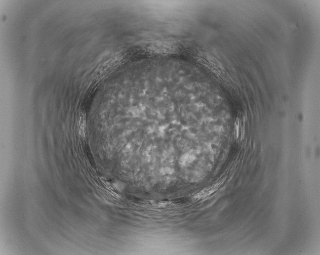 X0000086921251200705071319