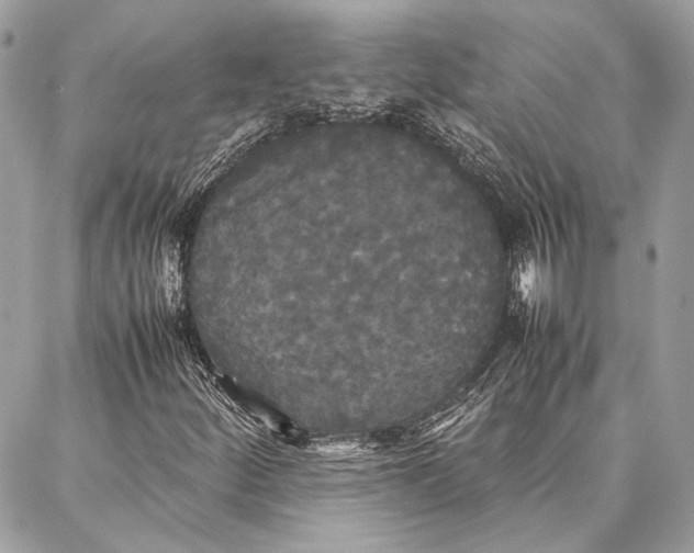 X0000086921252200705071319