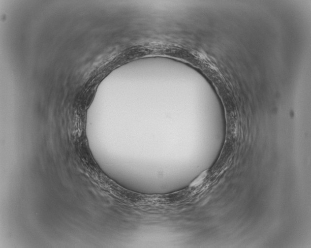 X0000086921253200705071319