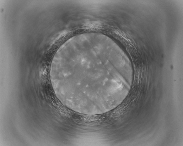 X0000086921254200705071319