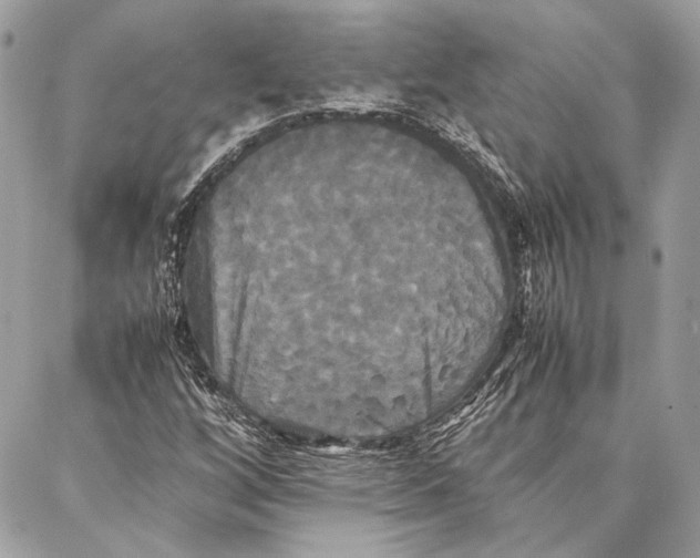 X0000086921256200705071319