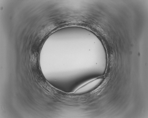 X0000086921257200705071319