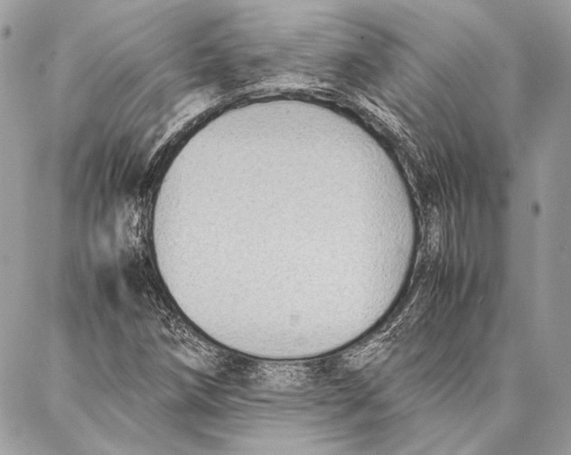 X0000086921258200705071319