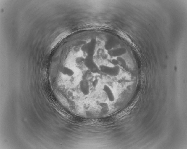 X0000086921259200705071319