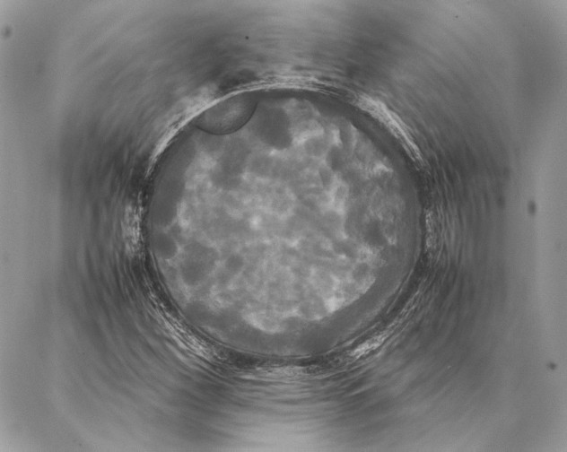 X0000086921260200705071319