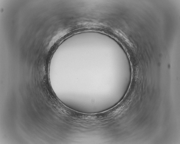 X0000086921261200705071319