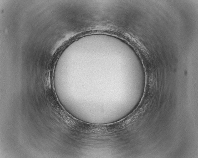 X0000086921262200705071319