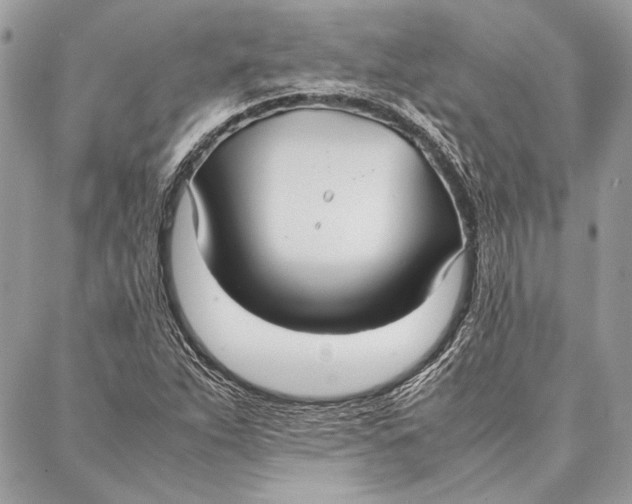 X0000086921263200705071319