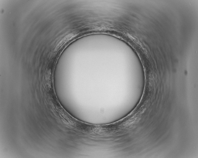 X0000086921265200705071319