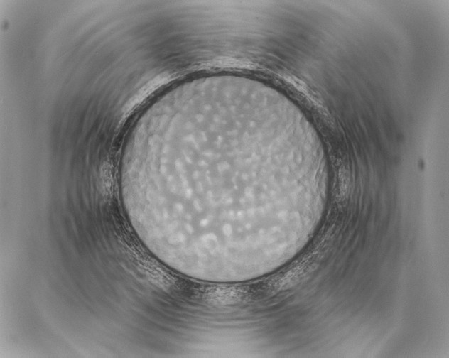 X0000086921266200705071319