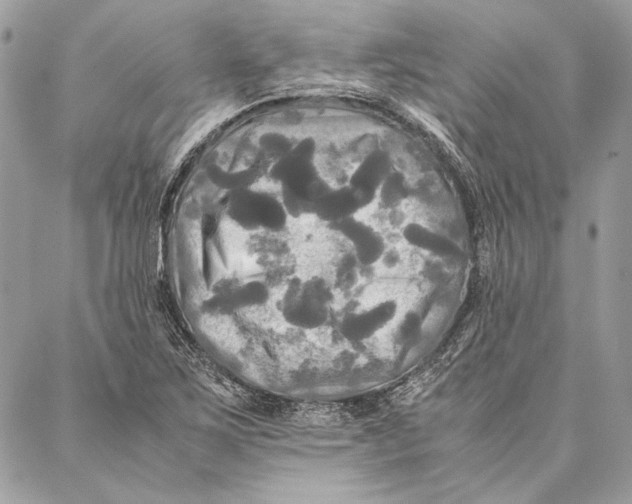 X0000086921267200705071319