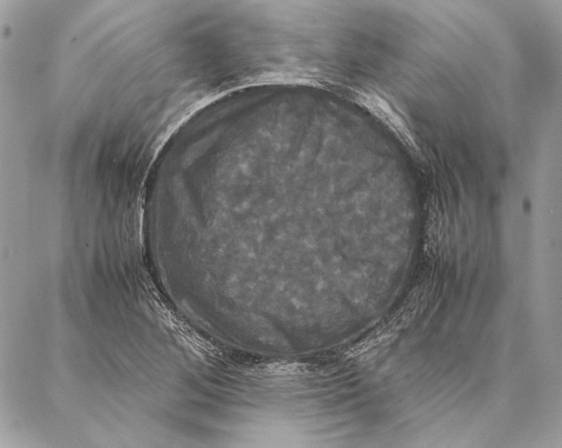 X0000086921268200705071319