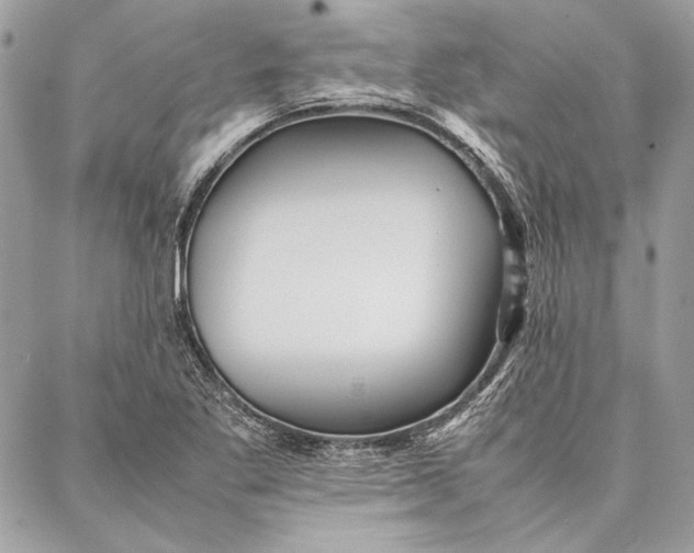 X0000086921269200705071319