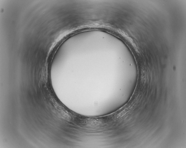 X0000086921270200705071319