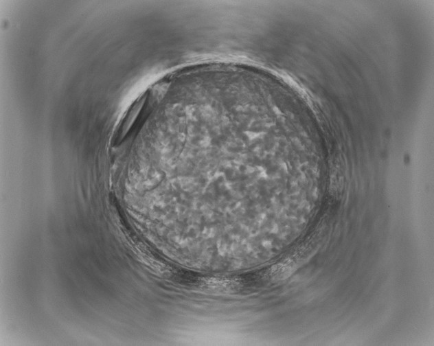 X0000086921271200705071319