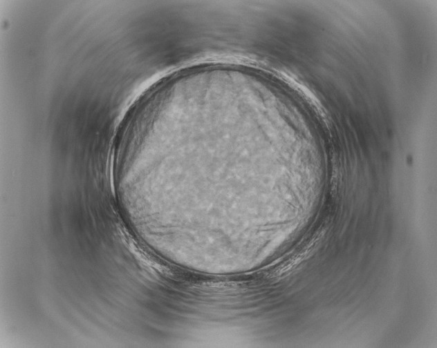 X0000086921272200705071319