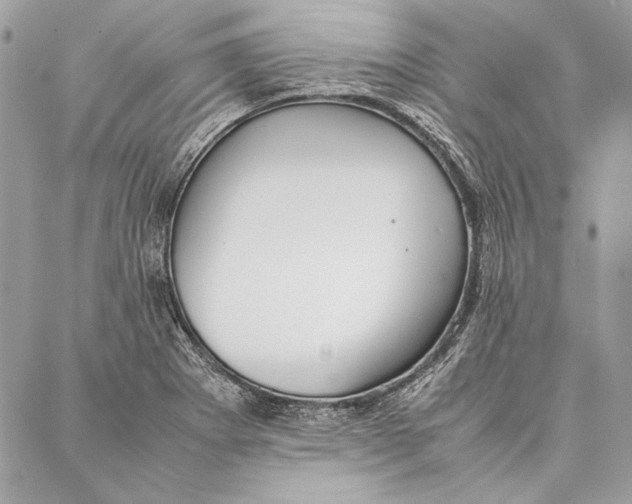 X0000086921273200705071319