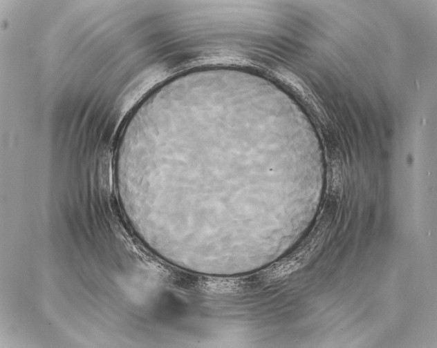 X0000086921274200705071319