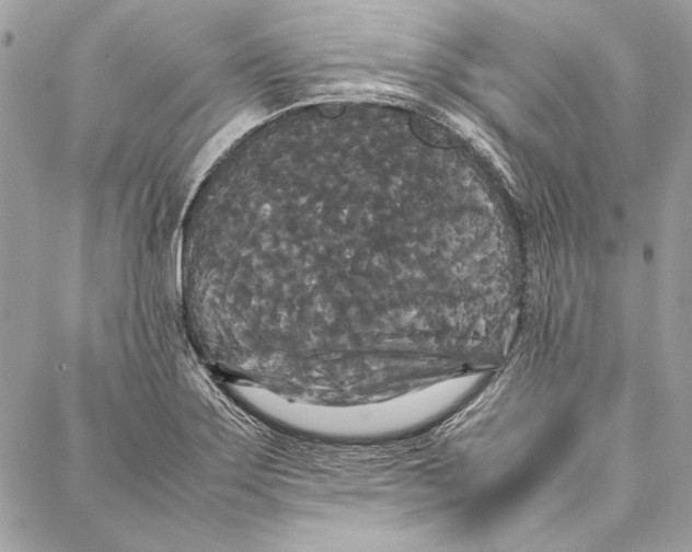 X0000086921275200705071319