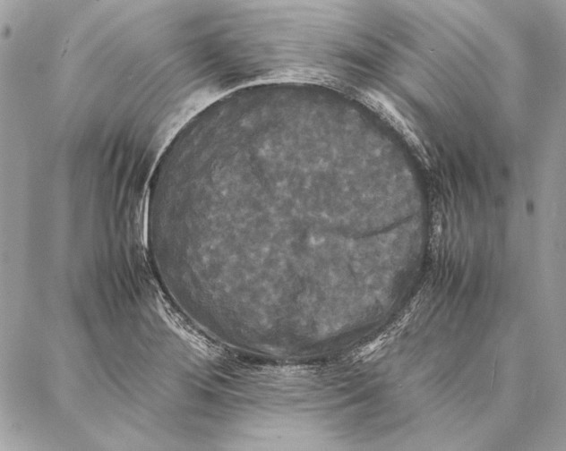 X0000086921276200705071319