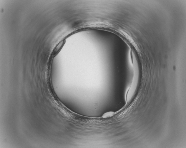 X0000086921277200705071319