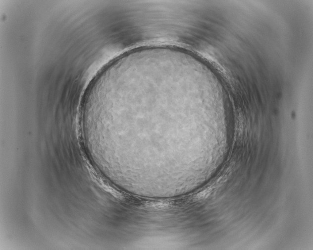 X0000086921278200705071319