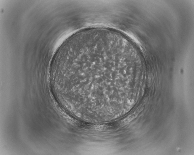 X0000086921279200705071319