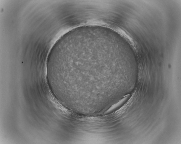 X0000086921280200705071319