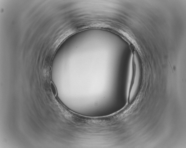 X0000086921281200705071319