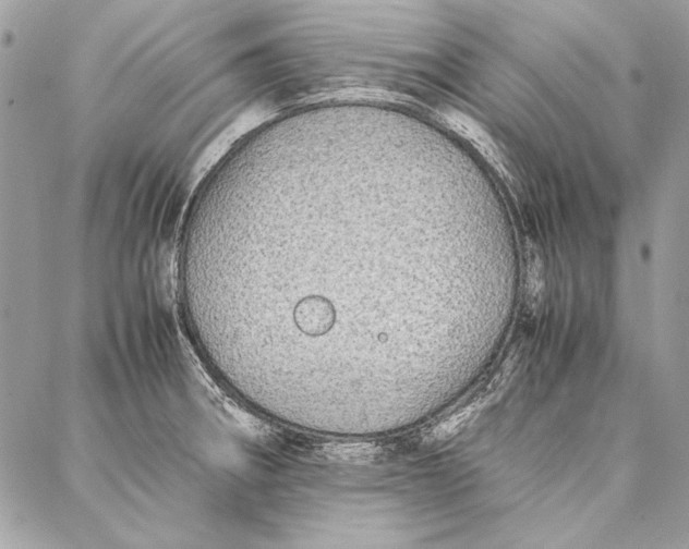 X0000086921282200705071319