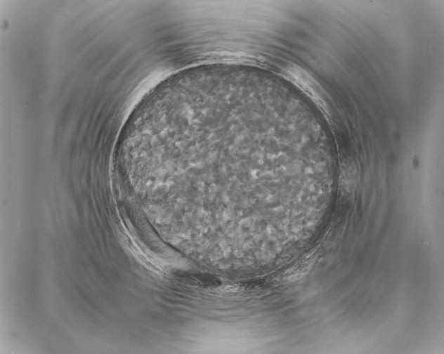 X0000086921283200705071319