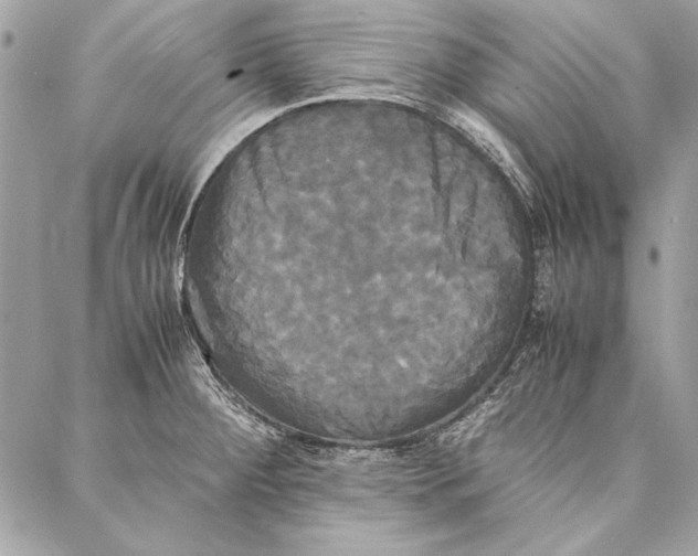 X0000086921284200705071319