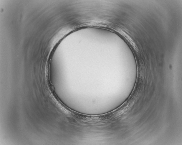 X0000086921285200705071319