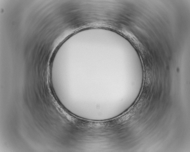 X0000086921286200705071319