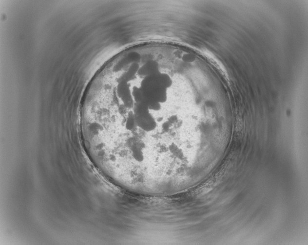 X0000086921287200705071319