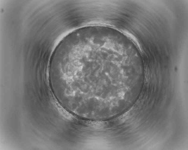 X0000086921288200705071319